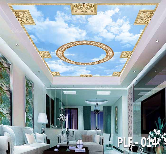 PLF 014