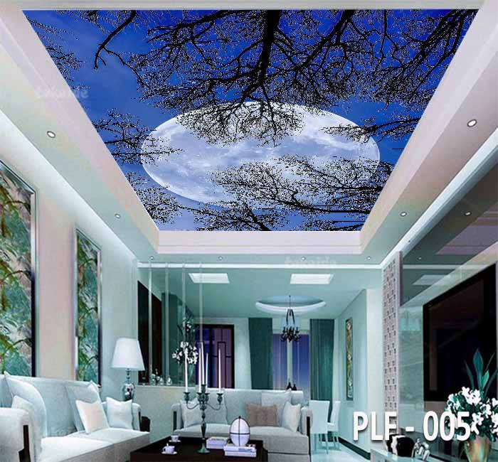 PLF 005