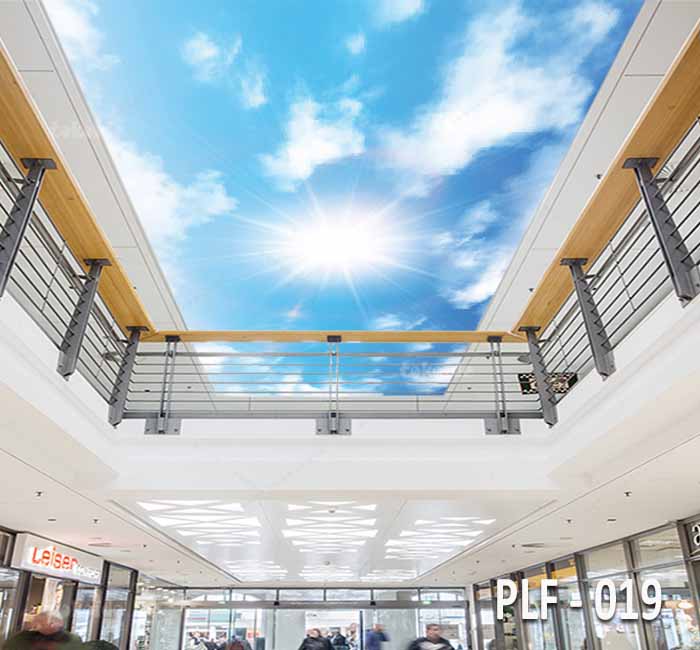 PLF 019
