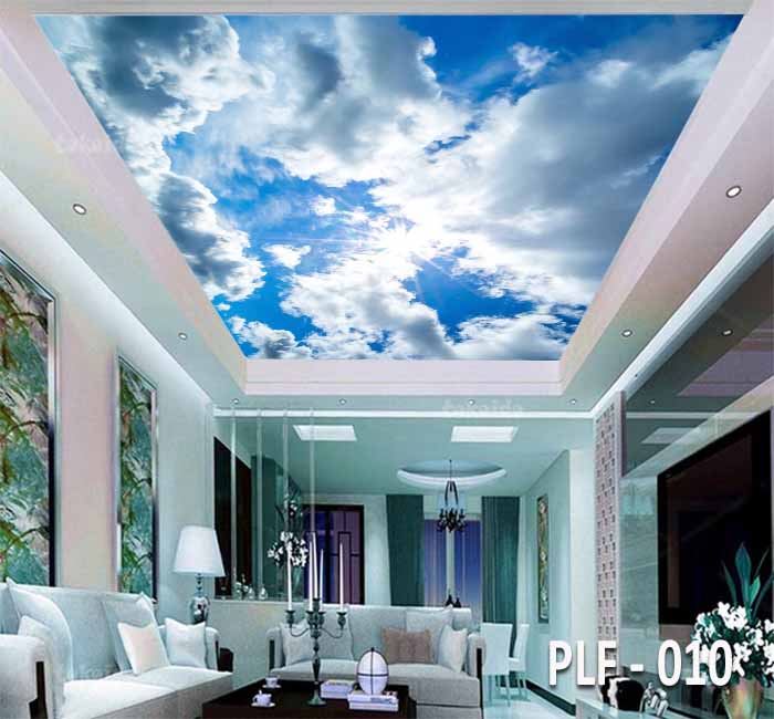 PLF 010
