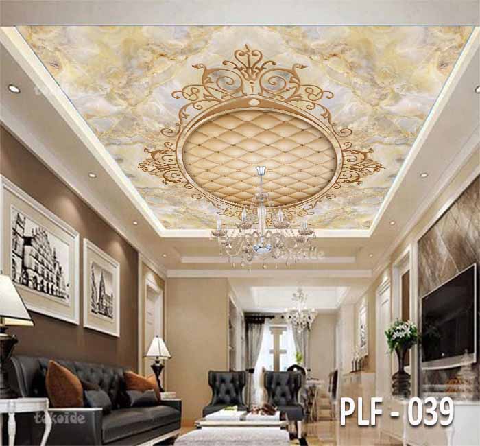 PLF 039