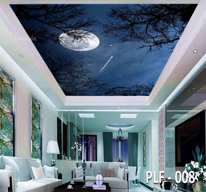 PLF 008