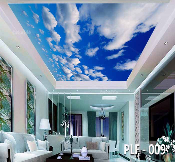PLF 009
