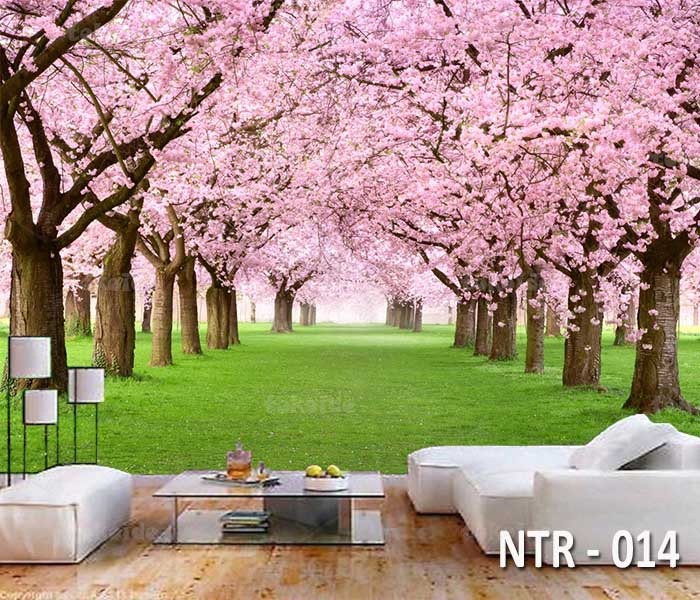 NTR 014 | Wallpaper Motif Bunga Sakura | Cetak Wallpaper Dinding