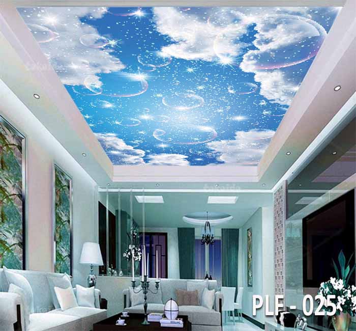 PLF 025