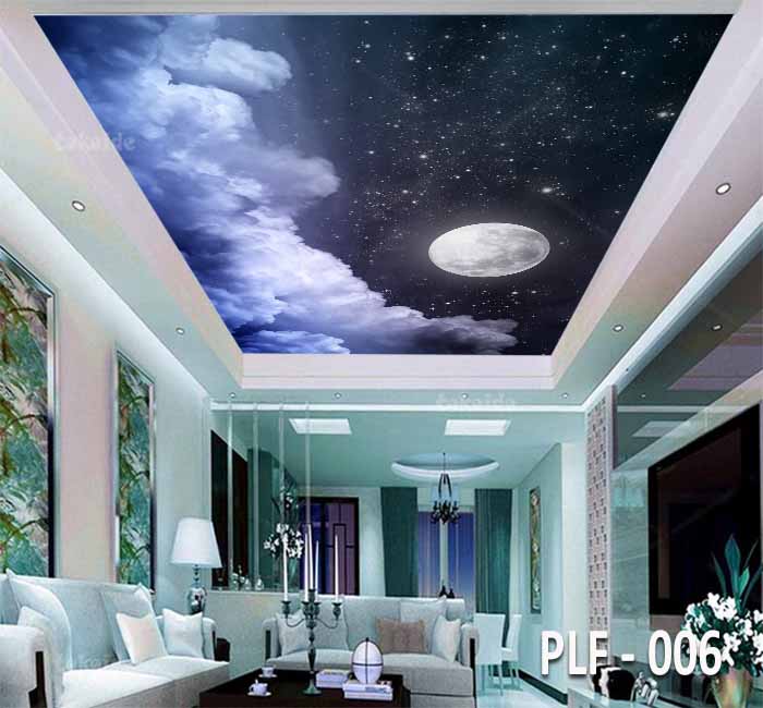 PLF 006